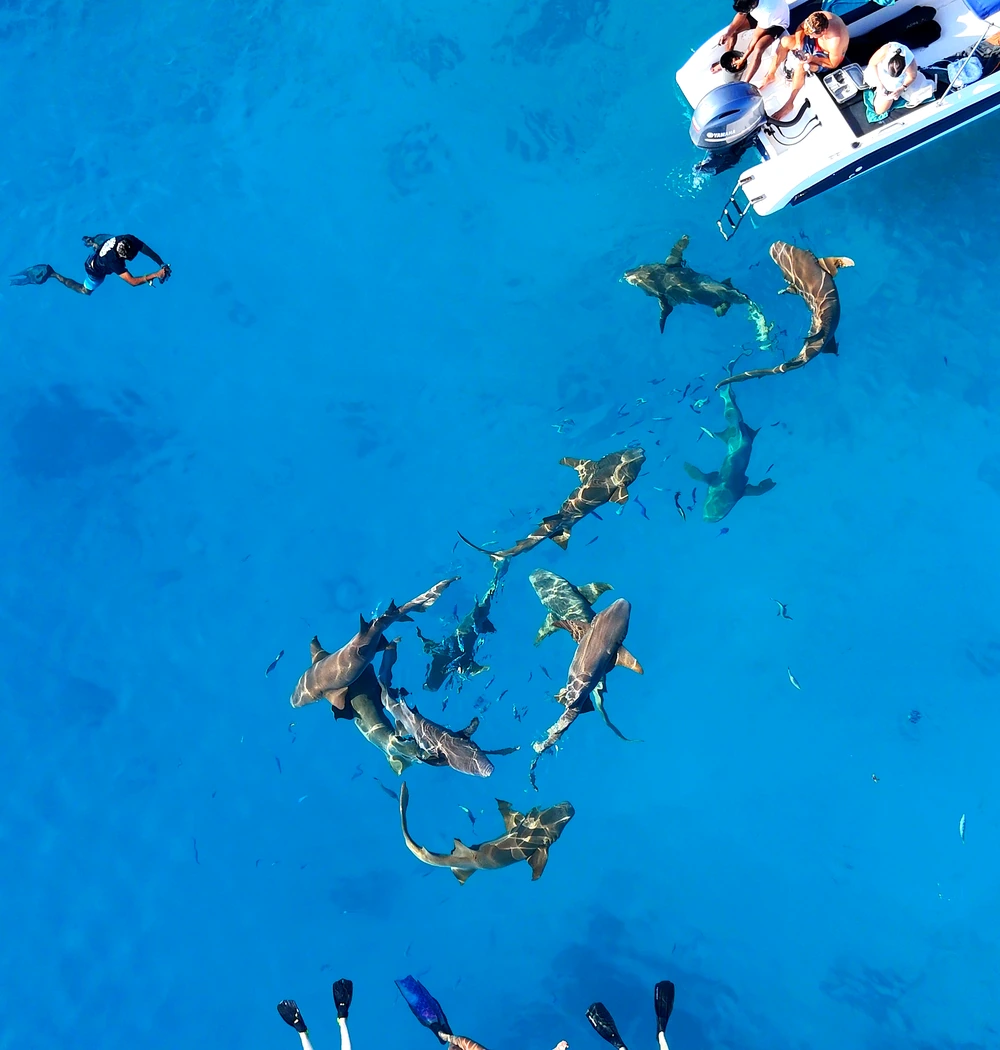 Fulidhoo Experiencia